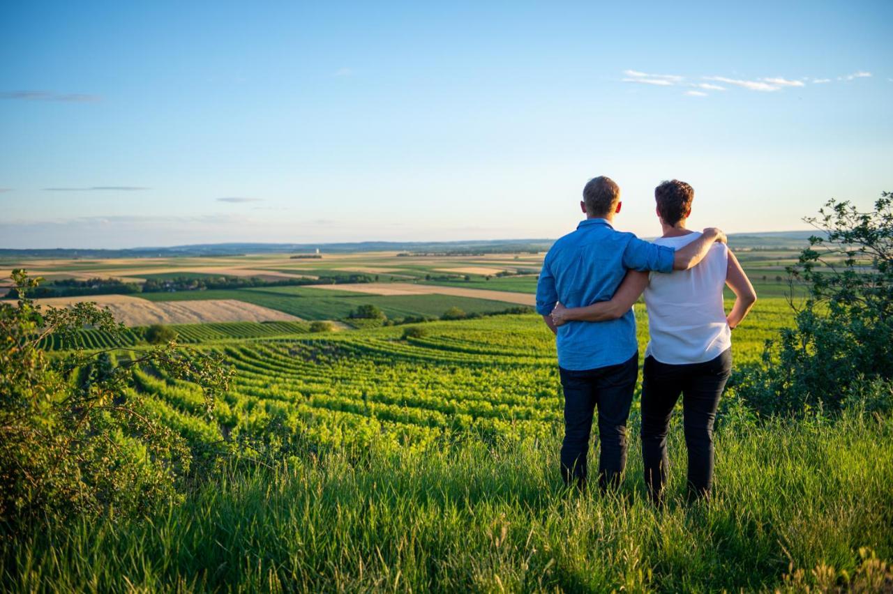 Weingut Breitenfelder Retz Zewnętrze zdjęcie
