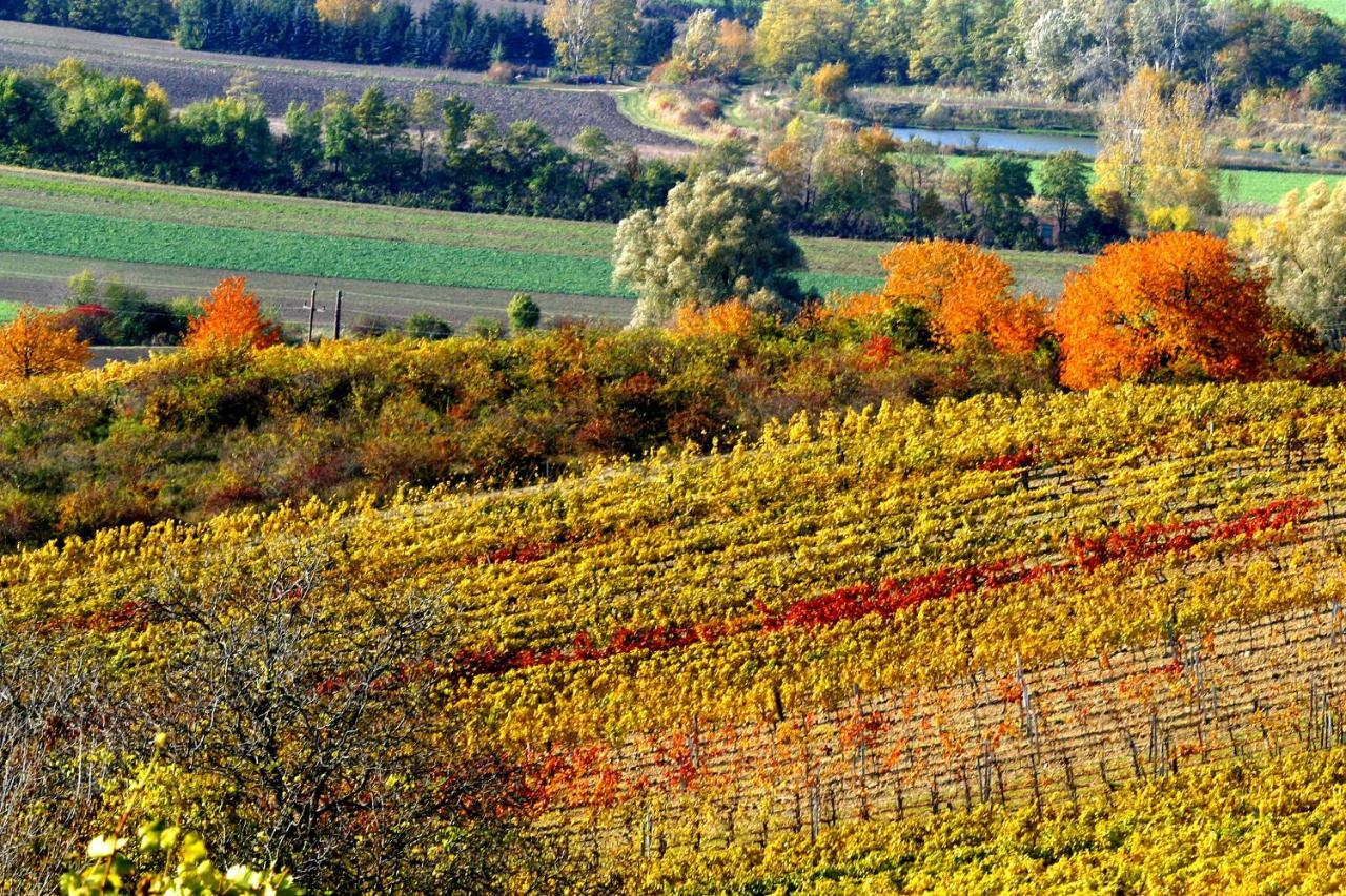 Weingut Breitenfelder Retz Zewnętrze zdjęcie