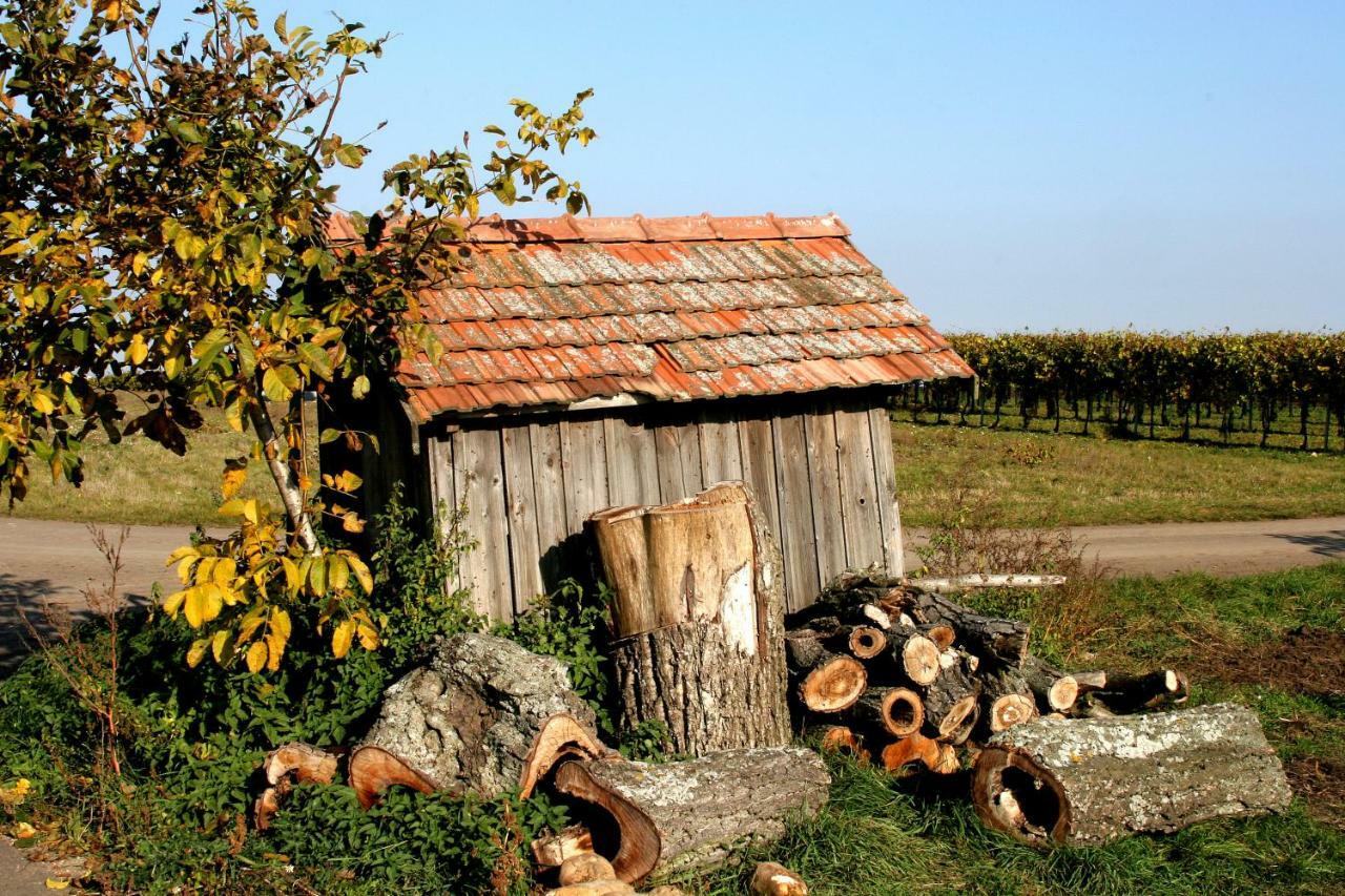 Weingut Breitenfelder Retz Zewnętrze zdjęcie